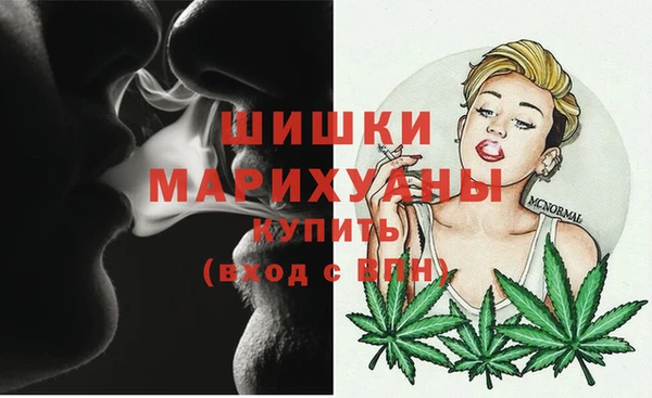 прущие грибы Верхнеуральск