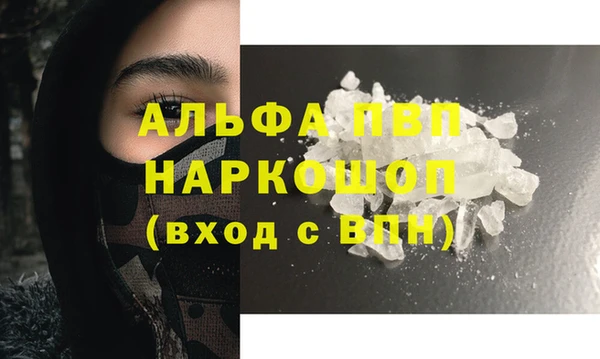 прущие грибы Верхнеуральск