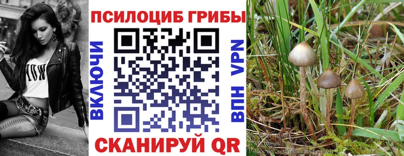 Галлюциногенные грибы ЛСД  Красногорск 