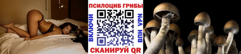 Псилоцибиновые грибы прущие грибы Красногорск